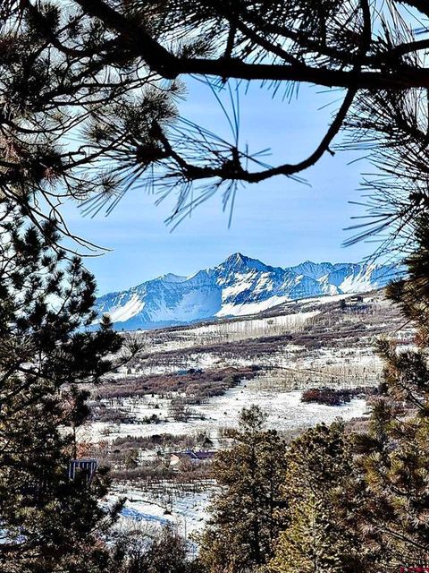 Property photo of Lot 120 Green Meadow Lane, Placerville, CO 81430