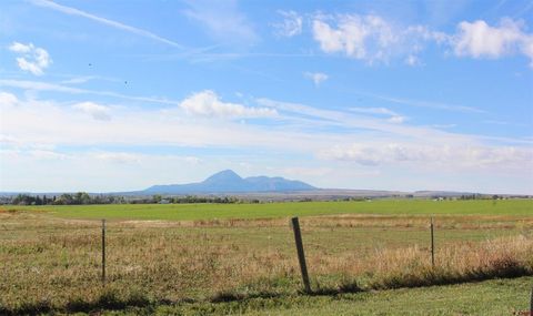 TBD Road W.8, Tract 4 Lewis CO 81327