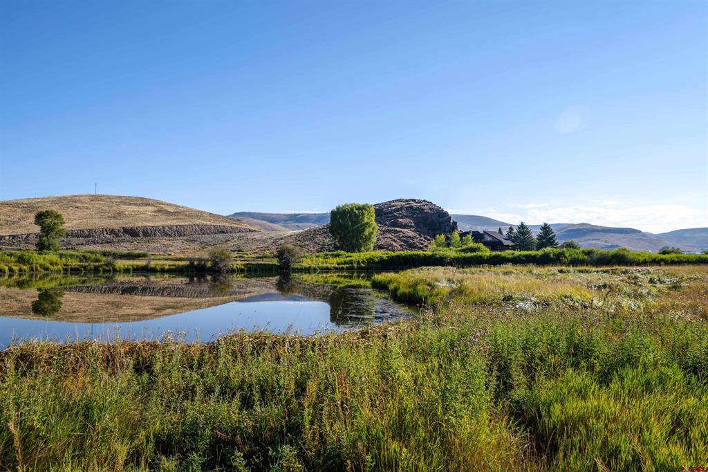 42246 US Highway 50
