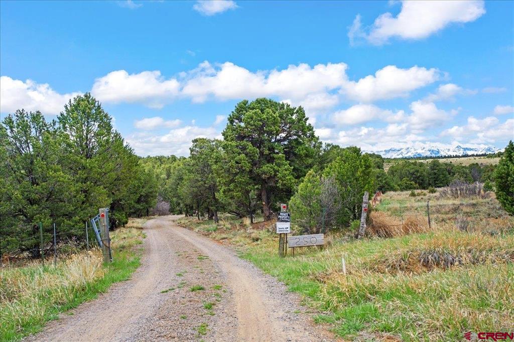 Montrose, Colorado, 81403, United States, 4 Bedrooms Bedrooms, ,4 BathroomsBathrooms,Residential,Active,2044564