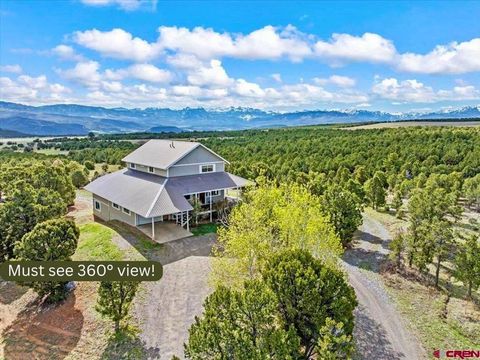 Photo of 250 Sue Bob Court, Montrose, CO 81403 (MLS # 834443)