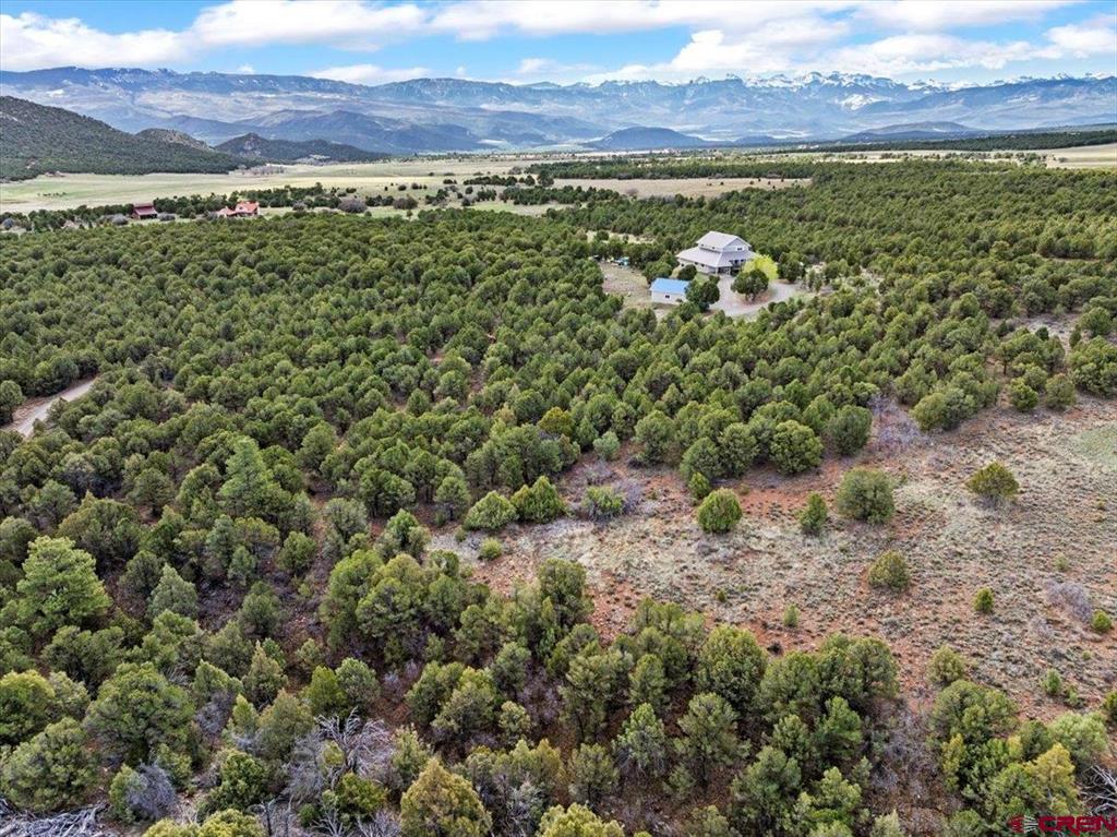 Montrose, Colorado, 81403, United States, 4 Bedrooms Bedrooms, ,4 BathroomsBathrooms,Residential,Active,2044564