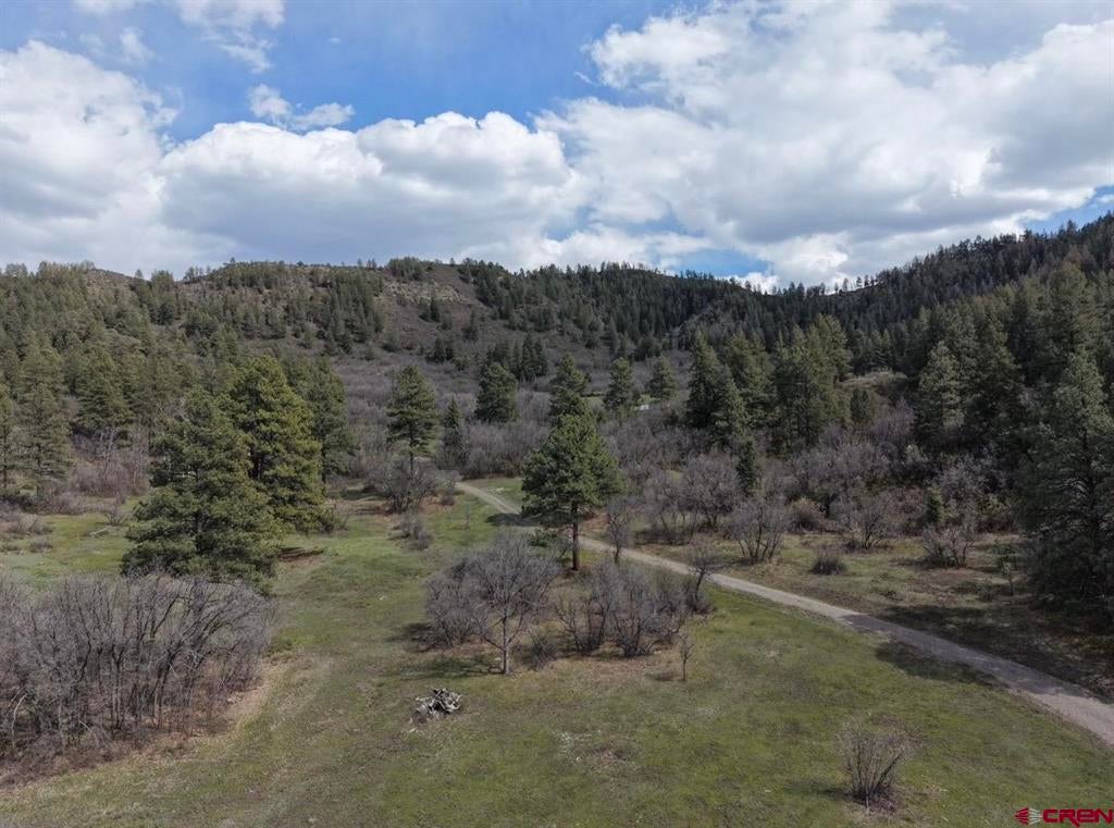1445c County Road 326 - Photo 4