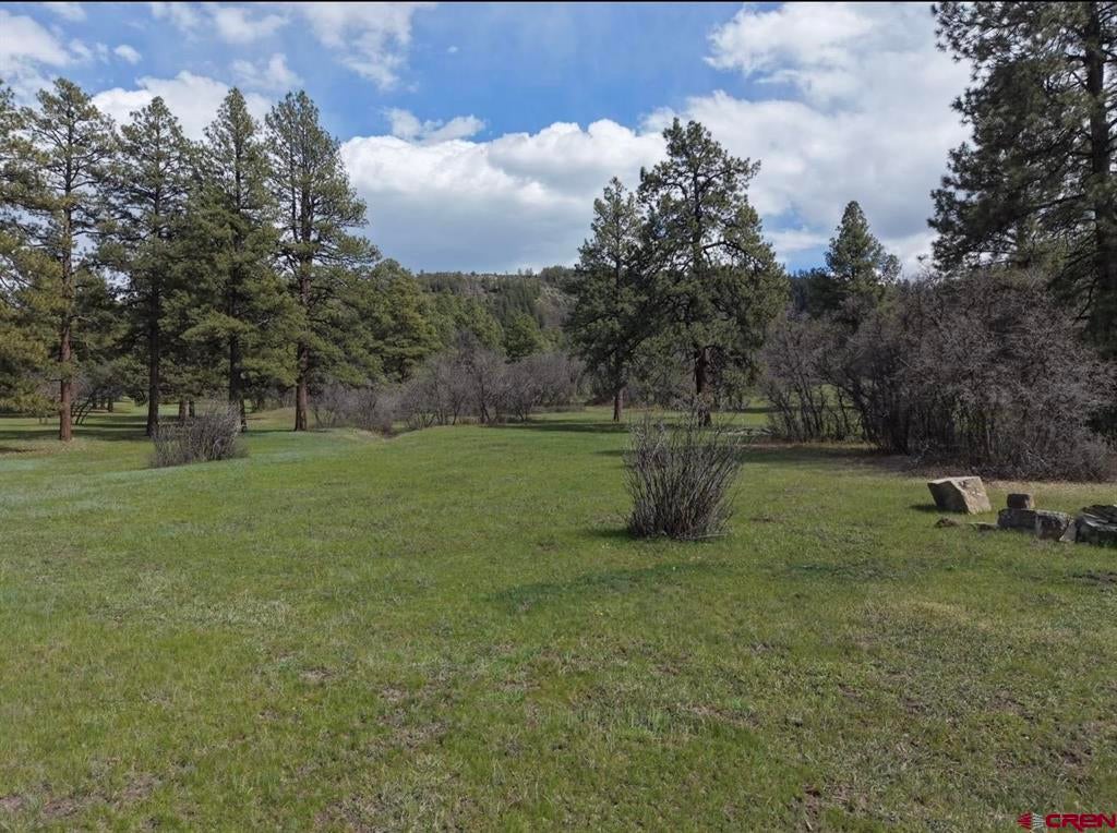 1445c County Road 326 - Photo 2