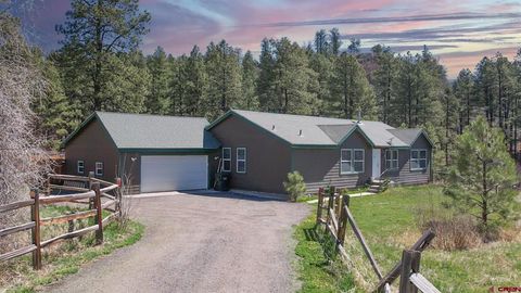 85 Harman Avenue Pagosa Springs CO 81147