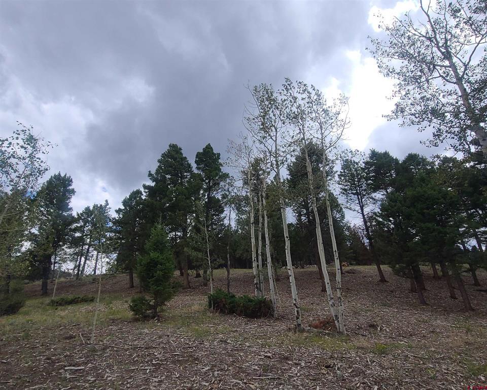 166 & 218 Blue Mesa Drive