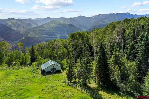 361 Golden Ridge Drive Ridgway CO 81432