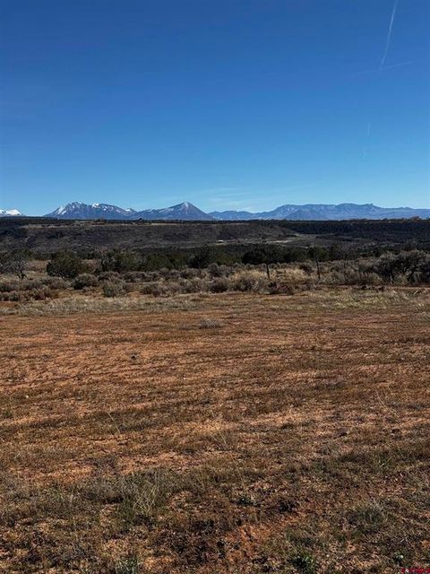 Photo of TBD 2625 Lane, Cedaredge, CO 81413 (MLS # 829635)