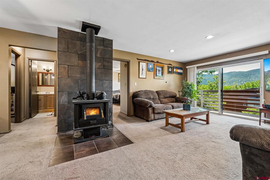 551 Animas View Drive 4