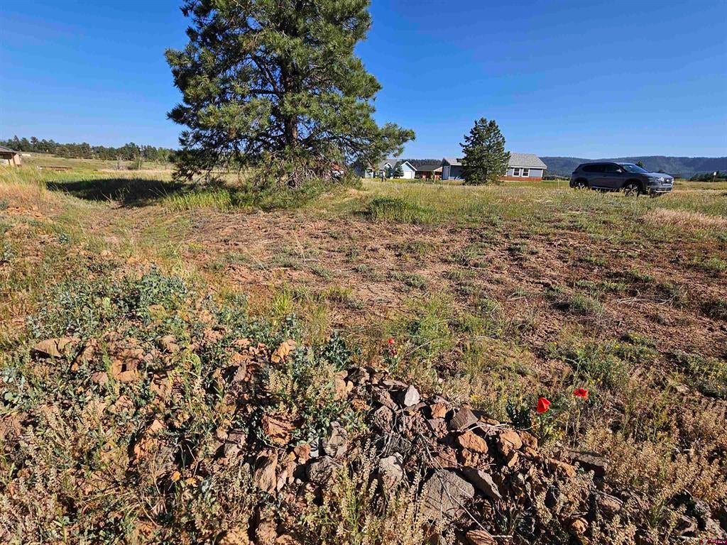 Photo 1 of 33 — 33 Paradise Drive, Pagosa Springs, CO 81147