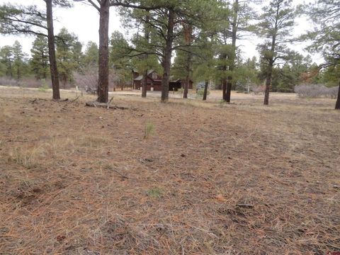 674 Oxbow Circle Pagosa Springs CO 81147