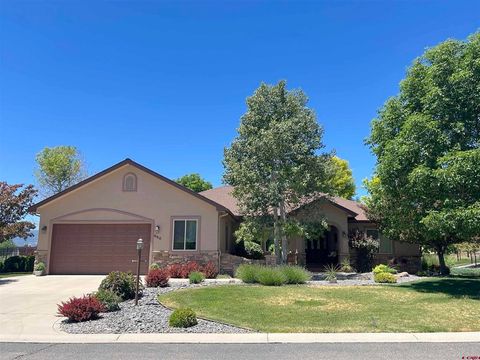 Photo of 850 SE Pinyon Street, Cedaredge, CO 81413 (MLS # 835856)