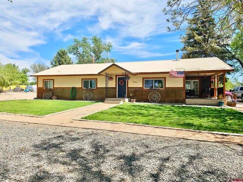 21277 Morris Road Eckert CO 81418