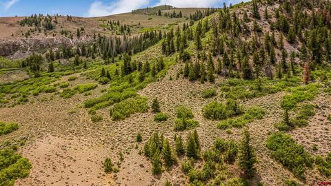 3610 6200 MM134 Road Olathe CO 81425