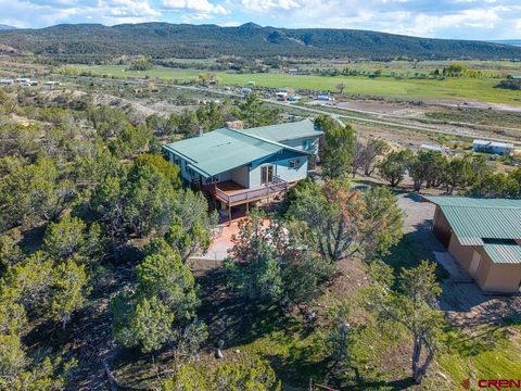 Photo of 40161 Cottonwood Creek Road, Crawford, CO 81415 (MLS # 833747)