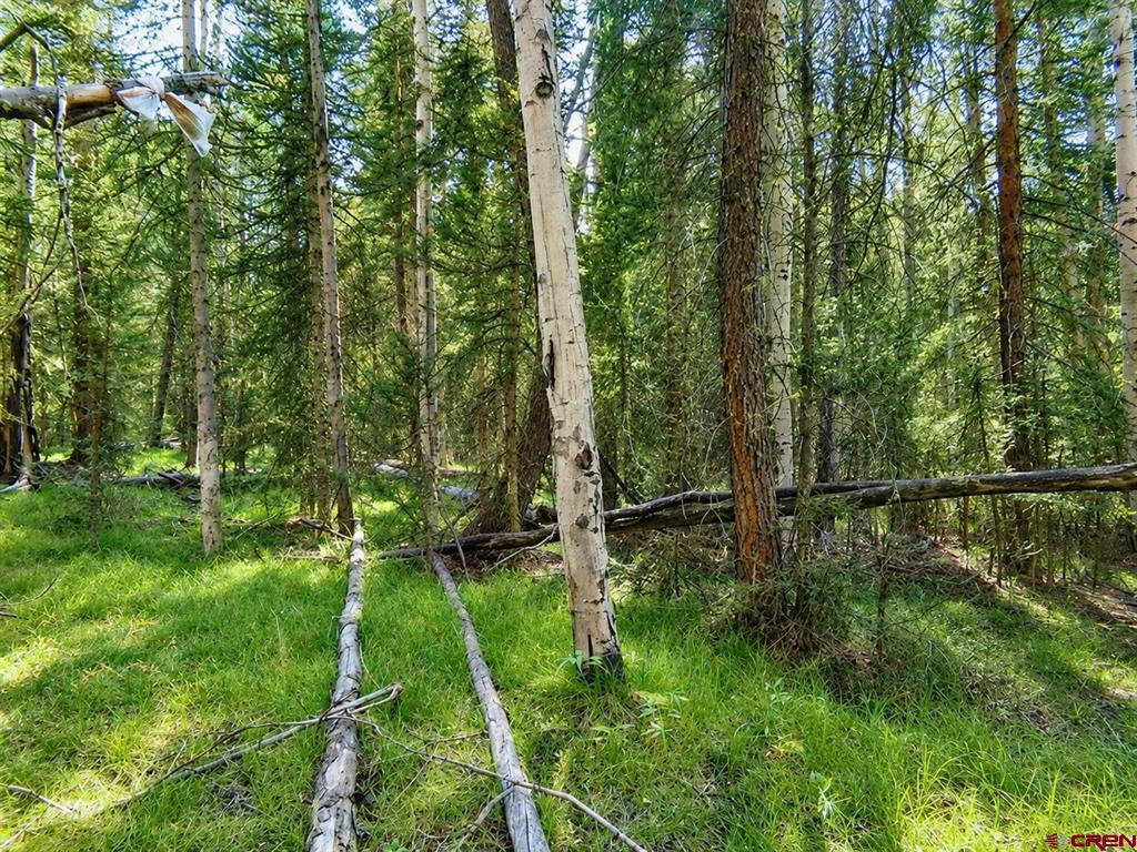 Photo 1 of 11 — 445 Aspen Trail, Cimarron, CO 81220