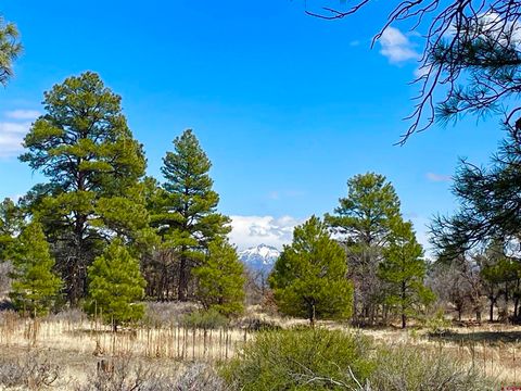 21 Eiffel Court Pagosa Springs CO 81147