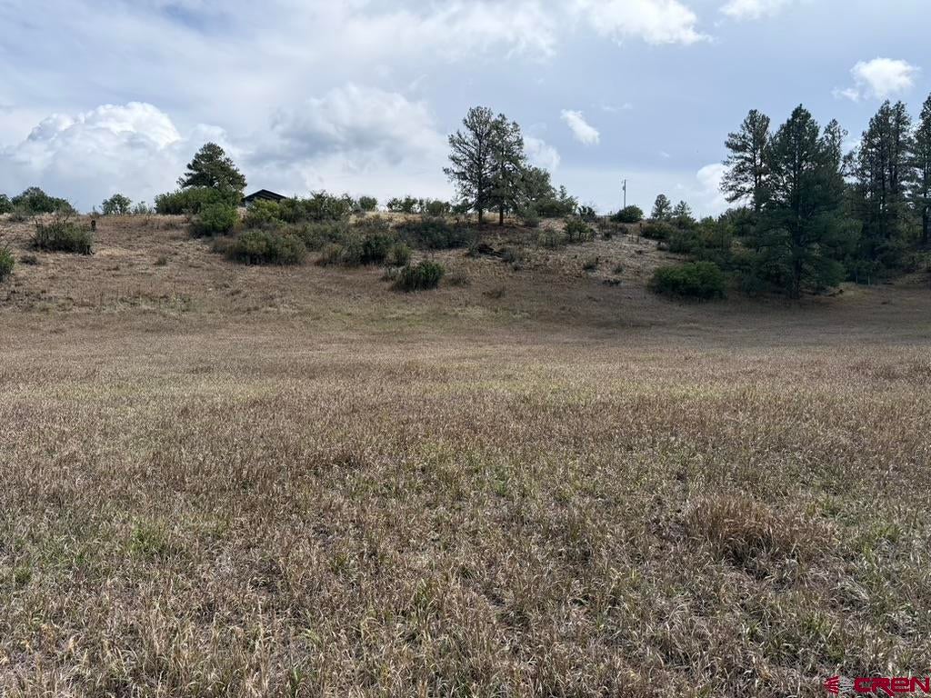 626 Indian Land Road