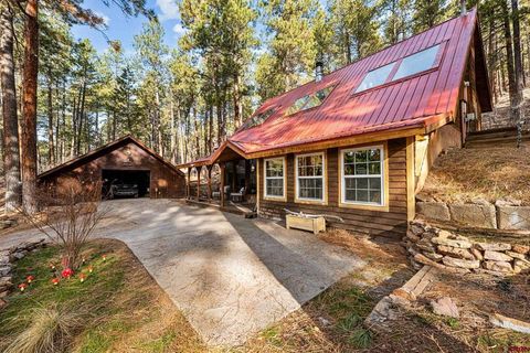 265 Pine Valley Road Bayfield CO 81122