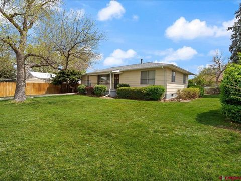 640 E 3rd Street Delta CO 81416