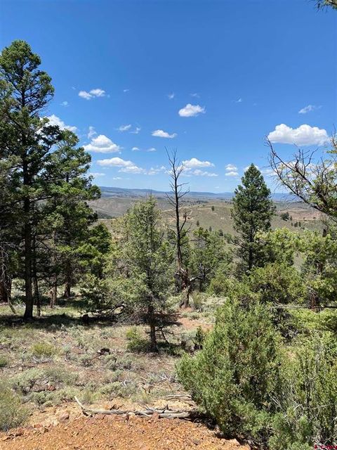 TBD Goose Creek Road Powderhorn CO 81243