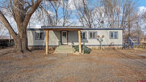 Photo of 18012 SW 8Th Avenue, Cedaredge, CO 81413 (MLS # 831890)