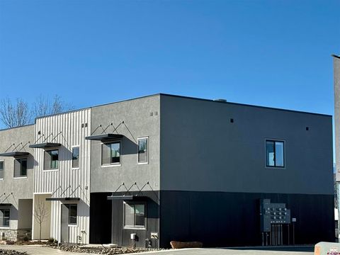 213 Treeline Street Durango CO 81303