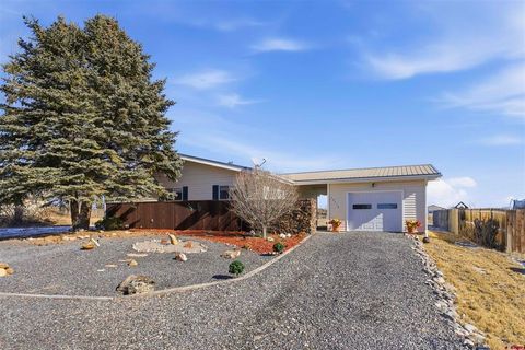 Photo of 10712 Mesa View Drive, Austin, CO 81410 (MLS # 831684)