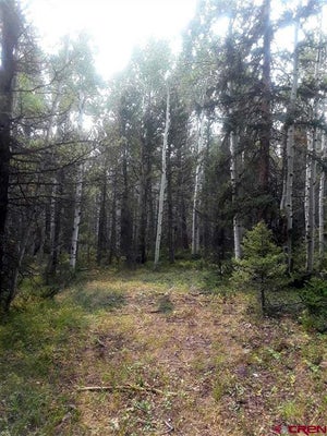 425 CREST DR, CIMARRON, CO 81220 - Image 1dc562fb7ddbd014a91c4e40a598672e/1803086422