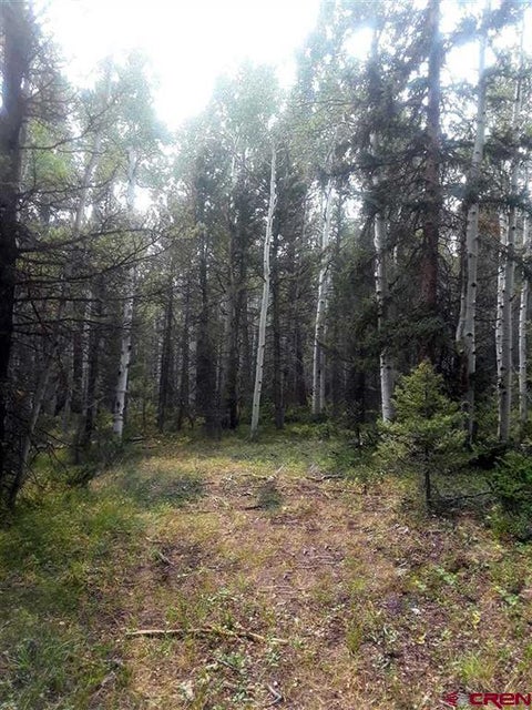 Photo of 425 Crest Drive, Cimarron, CO 81220 (MLS # 838557)