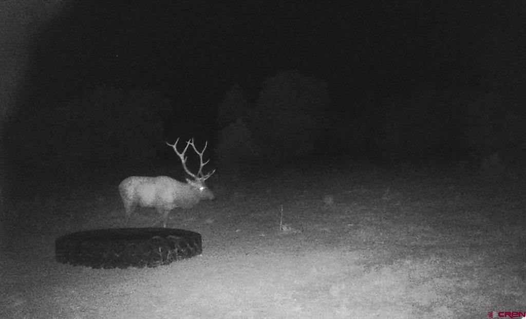 81924 & 82100 Highway 92