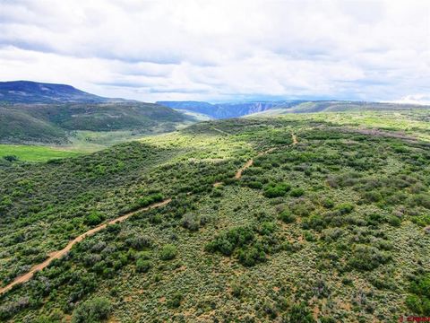 Photo of 81924 & 82100 Highway 92, Crawford, CO 81415 (MLS # 831644)