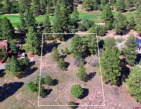 Property photo of 170 Puma Lane, Ridgway, CO 81432