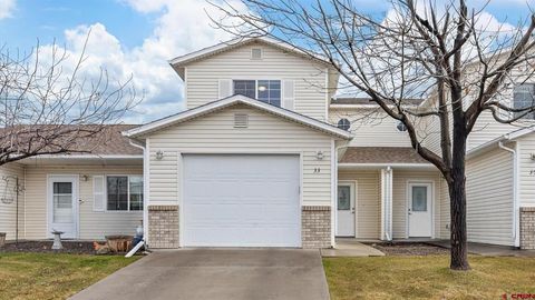 33 Pullman Street Montrose CO 81401