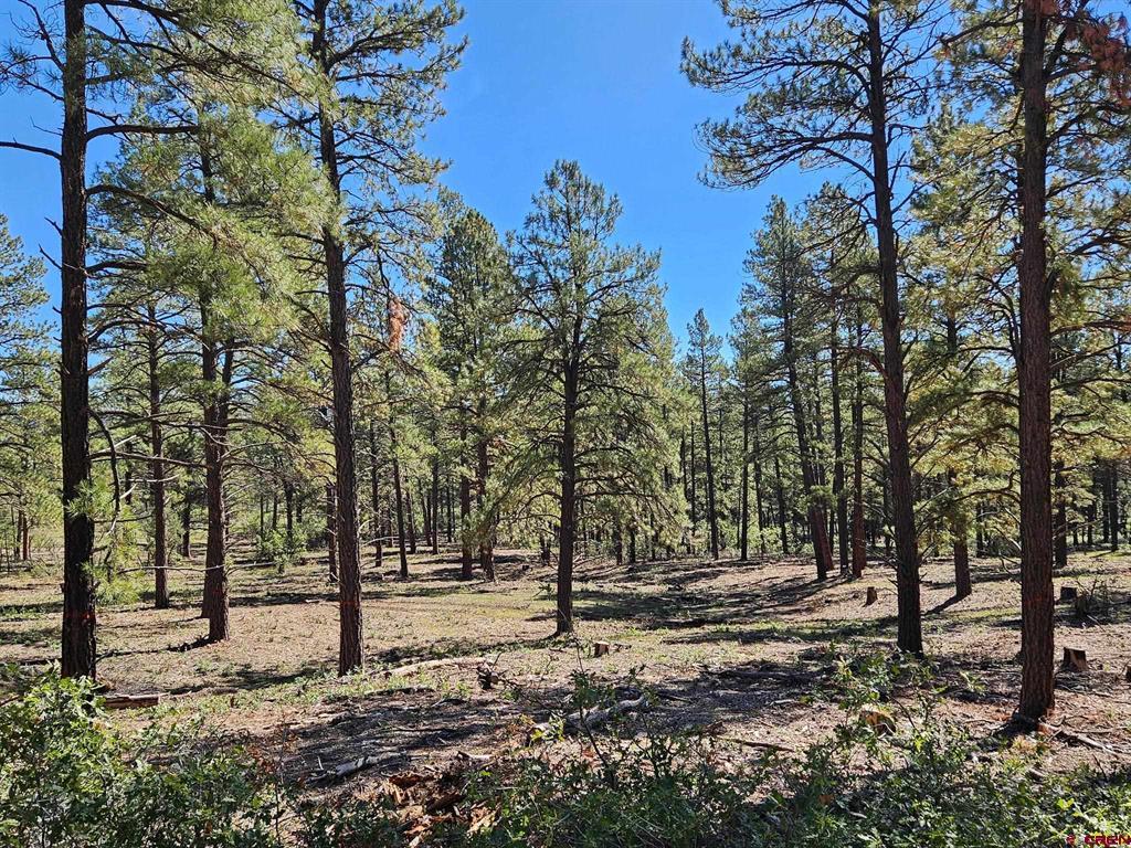 TBD County Road 502