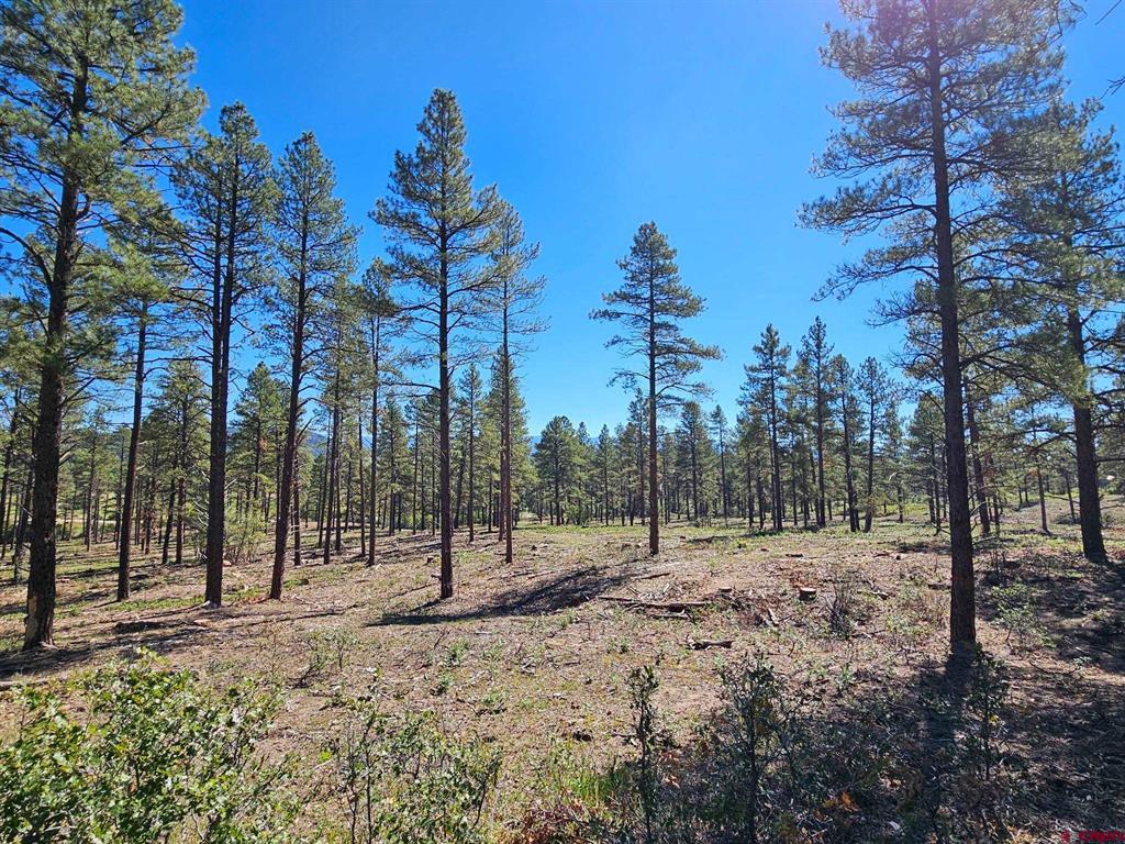 TBD County Road 502