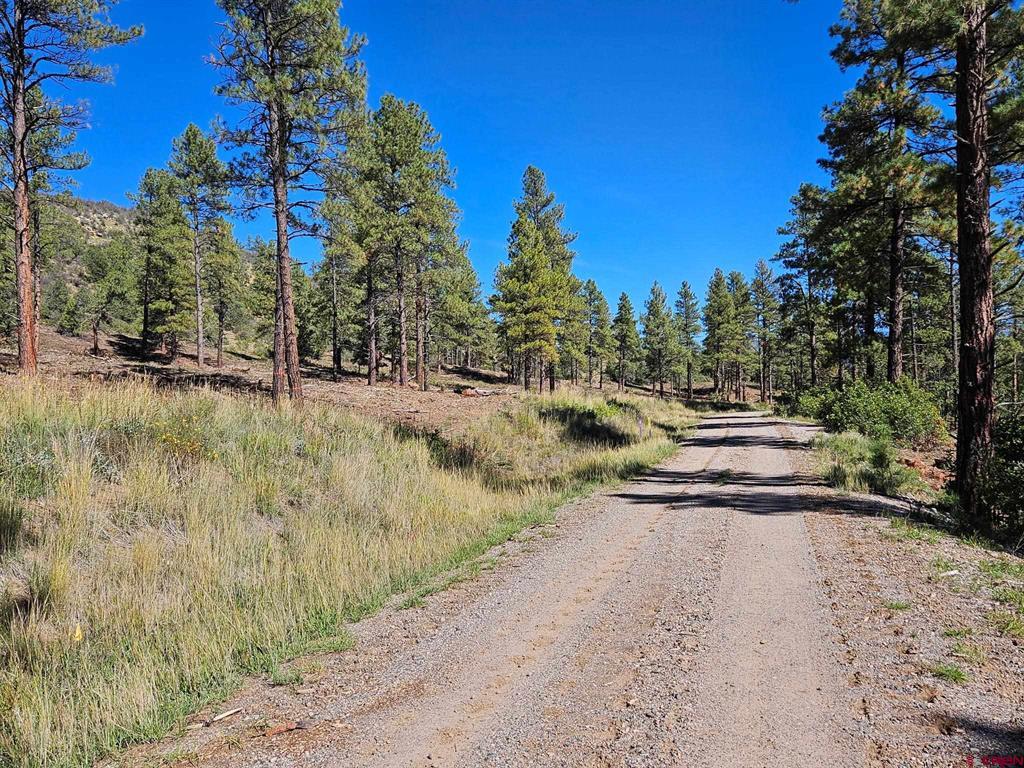 TBD County Road 502