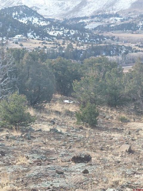 119 Cactus Road South Fork CO 81154