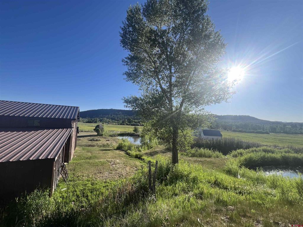 1317 County Road 501
