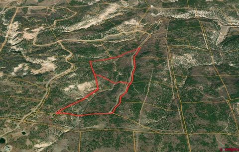 18975 Elk Reserve Road Glade Park CO 81523