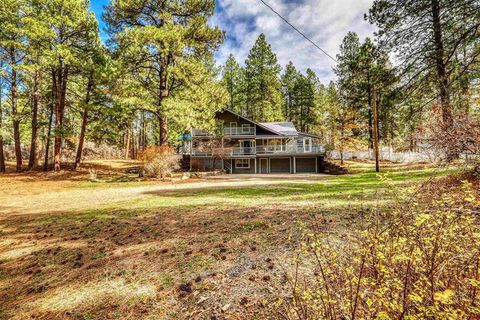 3051 A County Rd. 200 Pagosa Springs CO 81147