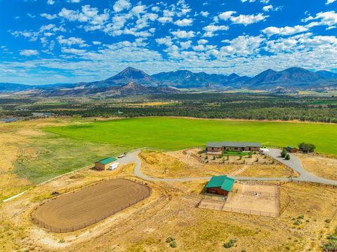 1190 7745 Road Crawford CO 81415