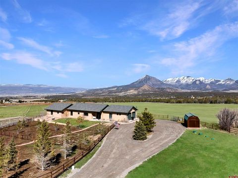 Photo of 1190 7745 Road, Crawford, CO 81415 (MLS # 832400)