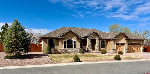 Photo of 66360 Crestview Drive, Montrose, CO 81403 (MLS # 832603)