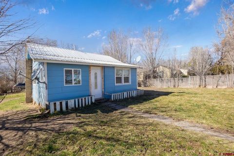 690 Grape St Nucla CO 81424