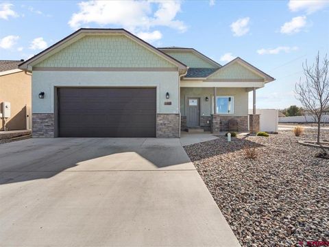 Photo of 219 Howard Fork Avenue, Montrose, CO 81403 (MLS # 832478)