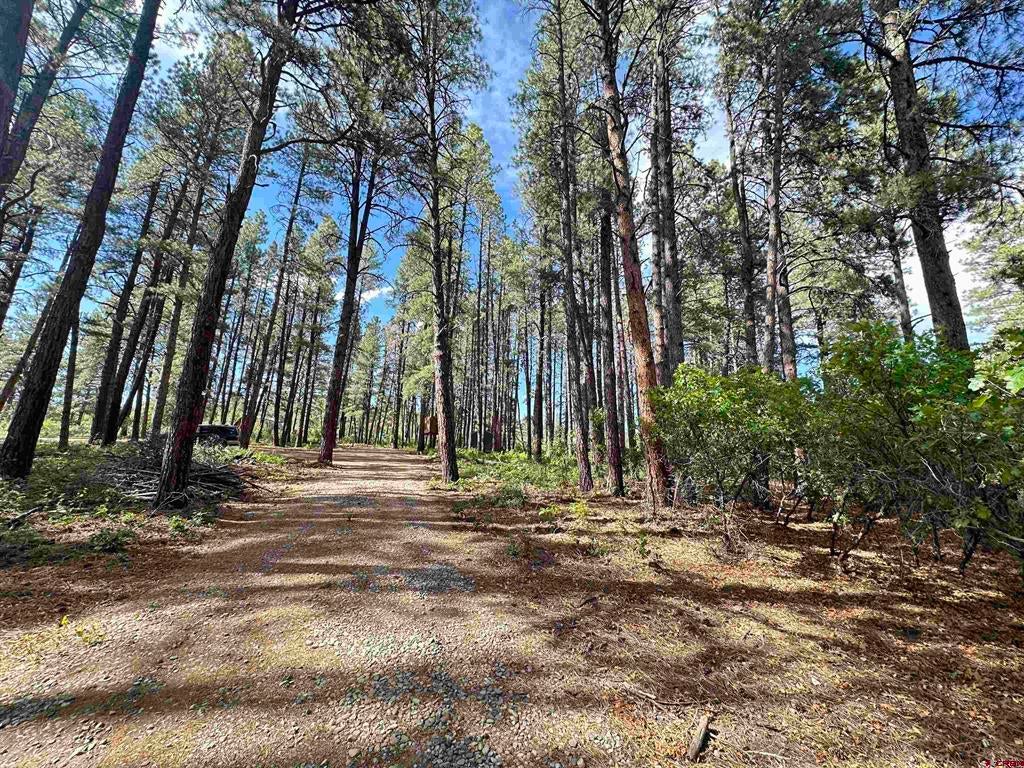 996 & 1032 Raccoon Drive