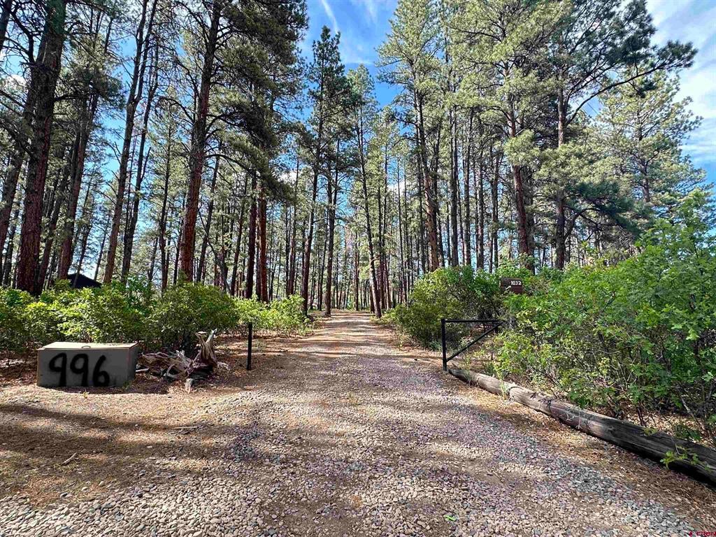 996 & 1032 Raccoon Drive