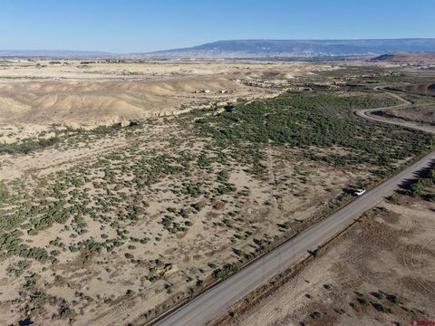 Photo of 3849 Peach Valley Road, Delta, CO 81416 (MLS # 835068)