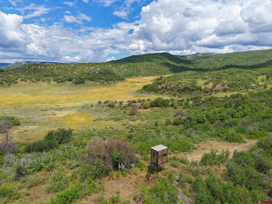 36681 ROAD M5, CAHONE, CO 81320 - Image 20eea6710a4f34f101af284e2c8f1a46/3501506740